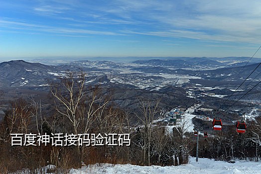 dz短信接码软件