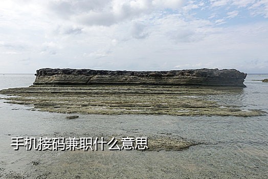 专属陌陌接码平台