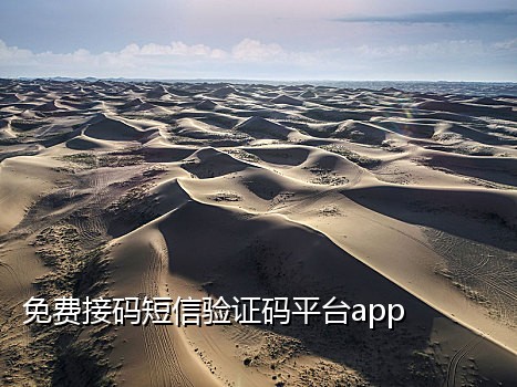 中国虚拟手机接码