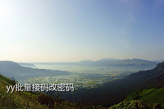中国手机号接码免费