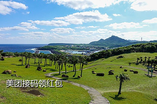 短信接码验证码平台源码