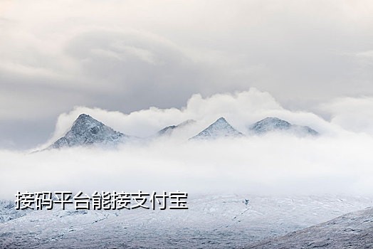 怎么找到接码平台的手机号