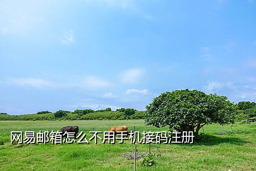 怎么用手机接码发短信