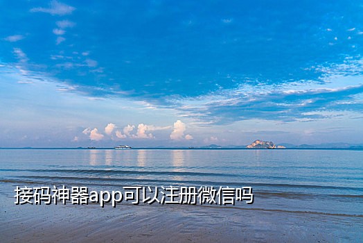 在线接短信验证码平台