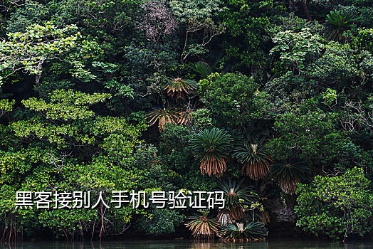 用什么接码能收美国电话短信