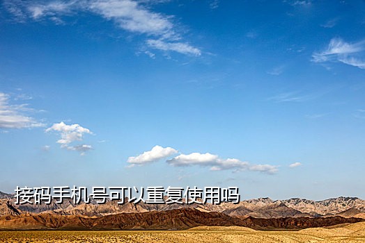 虚拟接码手机生成器