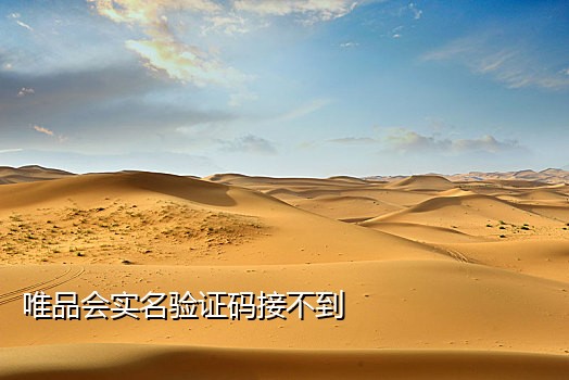 短信接码器破解