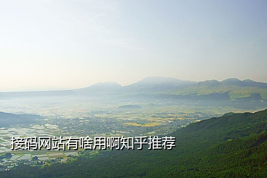 新蓝鸟接码手机客户端是什么意思