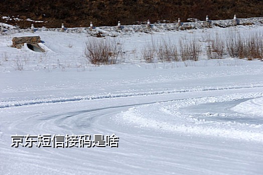 新加坡手机卡接验证码