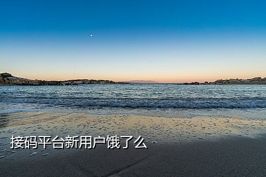 小象接码用手机操作吗