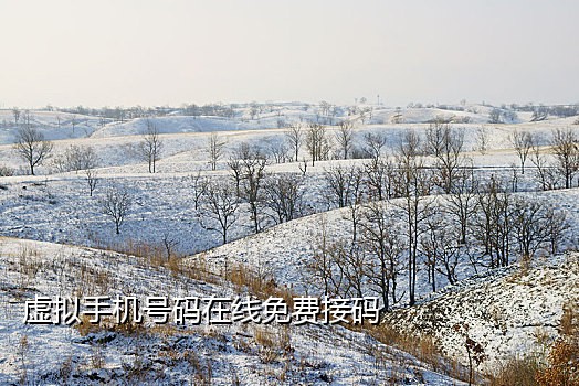 闲鱼接码充会员