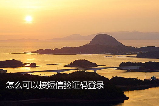 微信注册接码平台网站