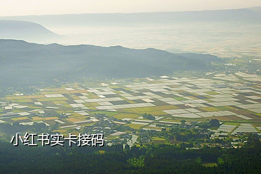 微信验证码接不到什么原因