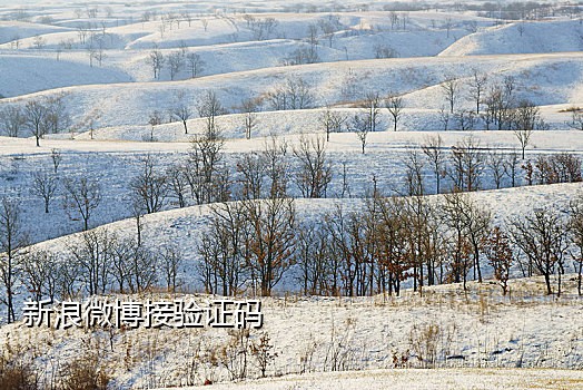 短信接码平台分销代理