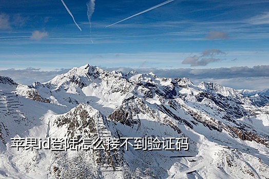 短信接码平台2021