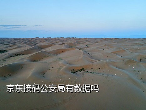 天码短信接验证码平台