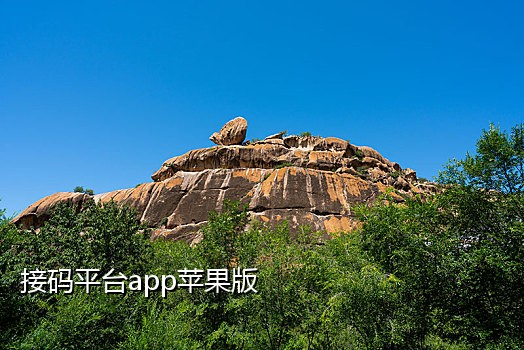 短信接码论坛