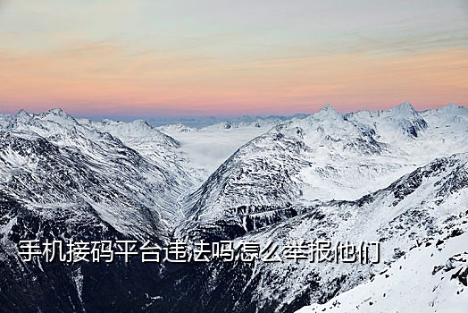 短信接码链接