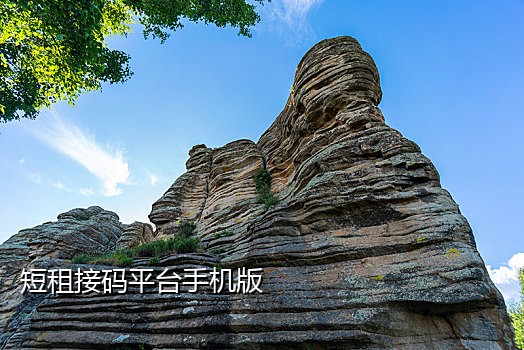 淘宝新用户注册接码平台