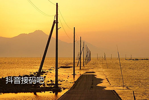 淘宝新号接码平台