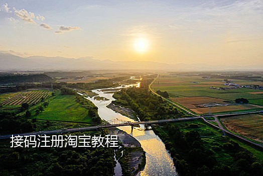 淘宝接码平台哪个好用吗