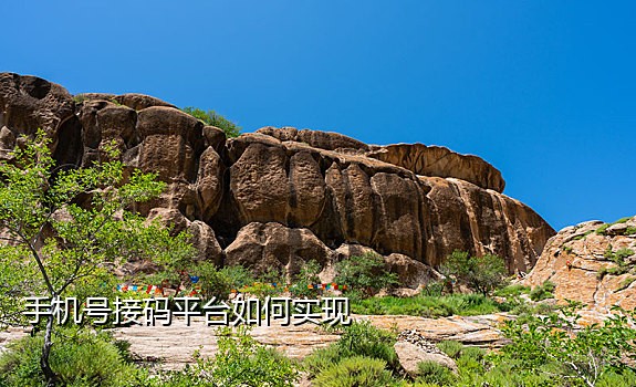 短信接码官方网站是什么
