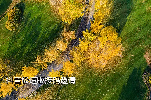 刷单星巴克接码