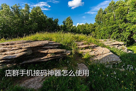 手机怎样远程接验证码