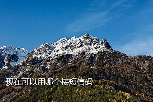 手机为啥接不了验证码