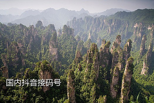 手机如何接码