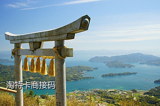 手机欠费了如何接验证码