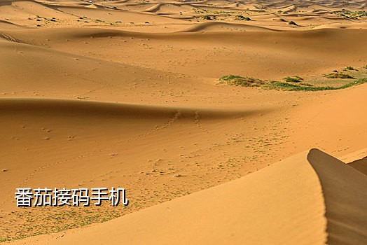 手机接码是干什么的是诈骗吗