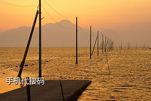 手机接码软件是什么