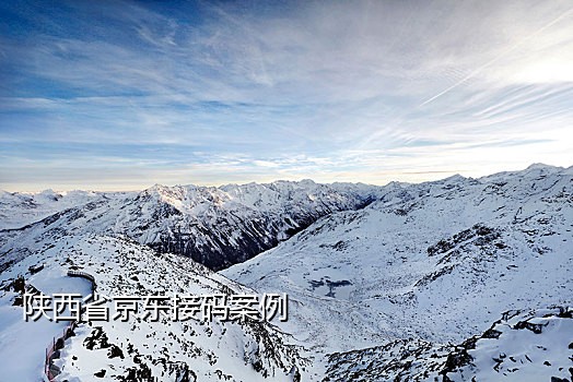 手机接码软件平台2023最新版