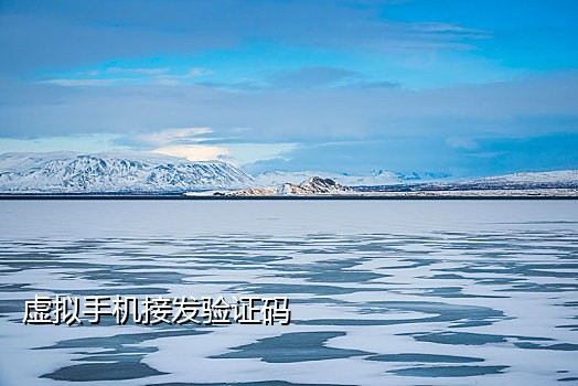手机接码平台怎么用啊微信登录呢