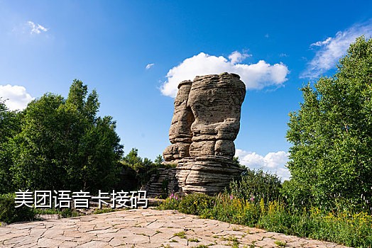 手机接不到疫情防控验证码