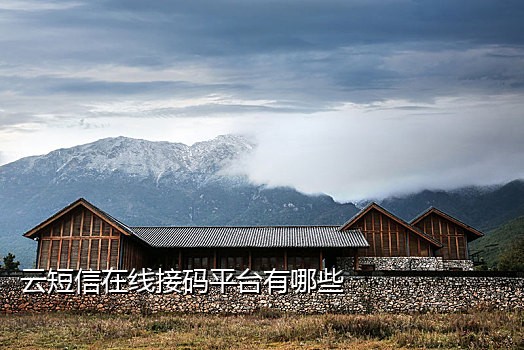 手机号验证码接码短信网站