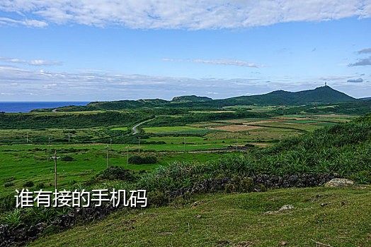手机号虚卡接码