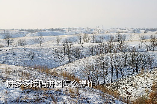 手机号可以接短信验证码