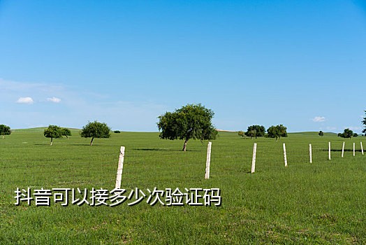 手机号不用怎么接验证码