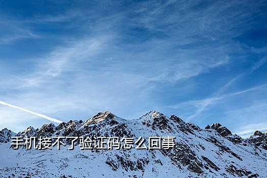 手机号变虚拟号接验证码