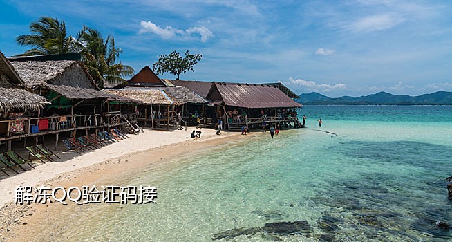 手机店接码判刑