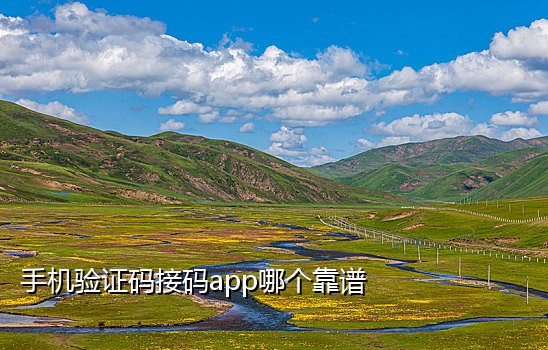 抖音小号实卡接码