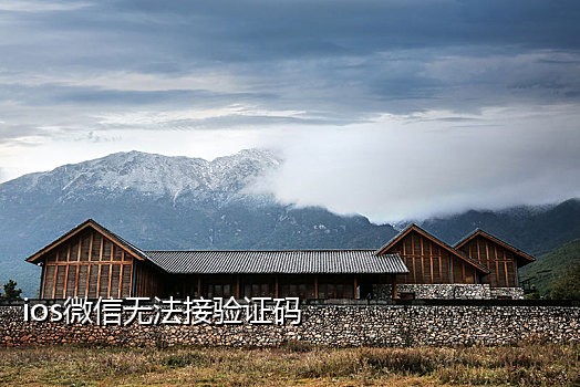 全新美国号接码抖音