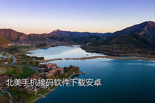 苹果有哪些可以接码的