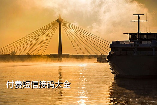 苹果接码是什么
