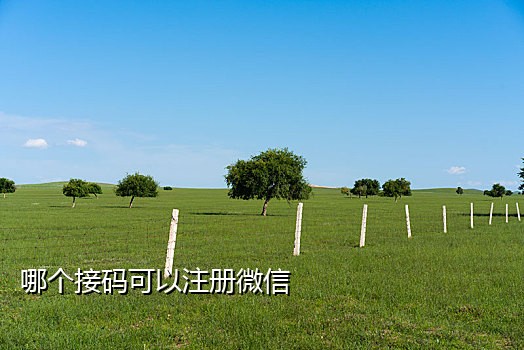 那手机号码接码