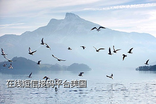 免费国外手机接短信验证码