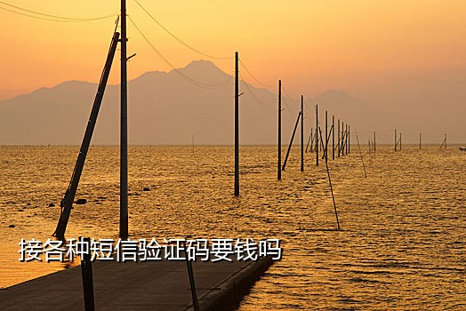 美团接验证码软件安全吗