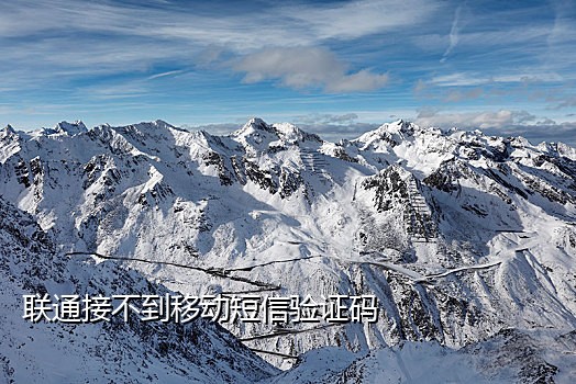 美国手机号接码发卡网